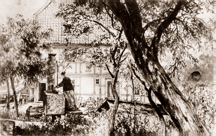  Adolpyh Von Menzel —— 果园的速写